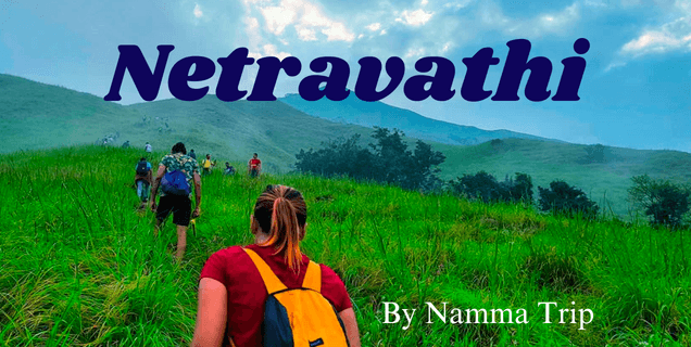Netravathi Trek | Namma Trip