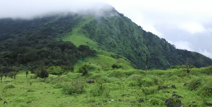 Nishani Motte Trek - Coorg