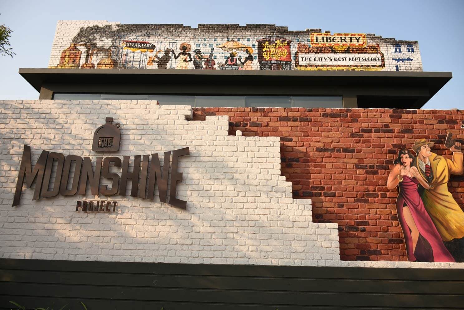 The Moonshine Project