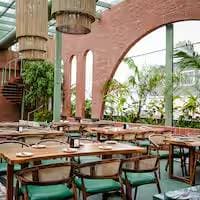 Venue: Bier Loft Brewing Company