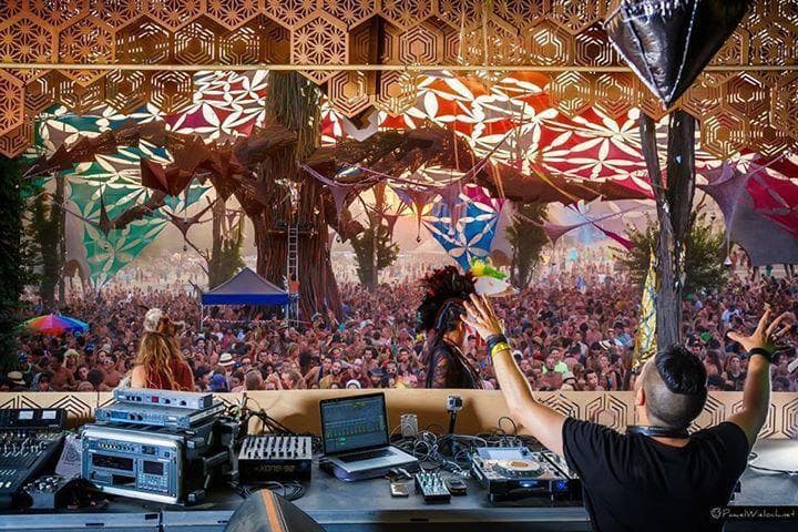 Venue: Pebble - The Jungle Lounge