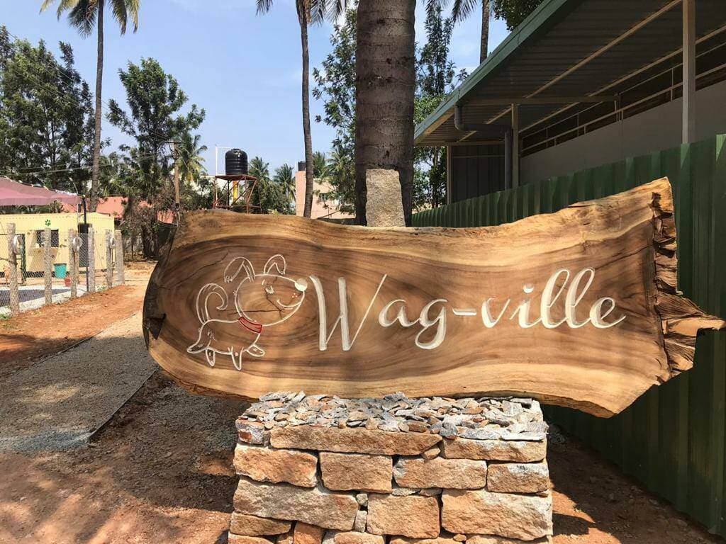 Wag-Ville Dog Boarding, Training, Dog And Cat Grooming