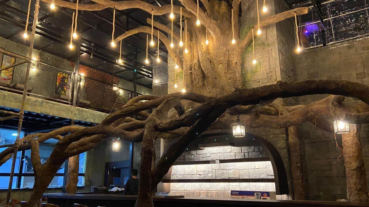 Venue: Tales of Flamingo (TOF)