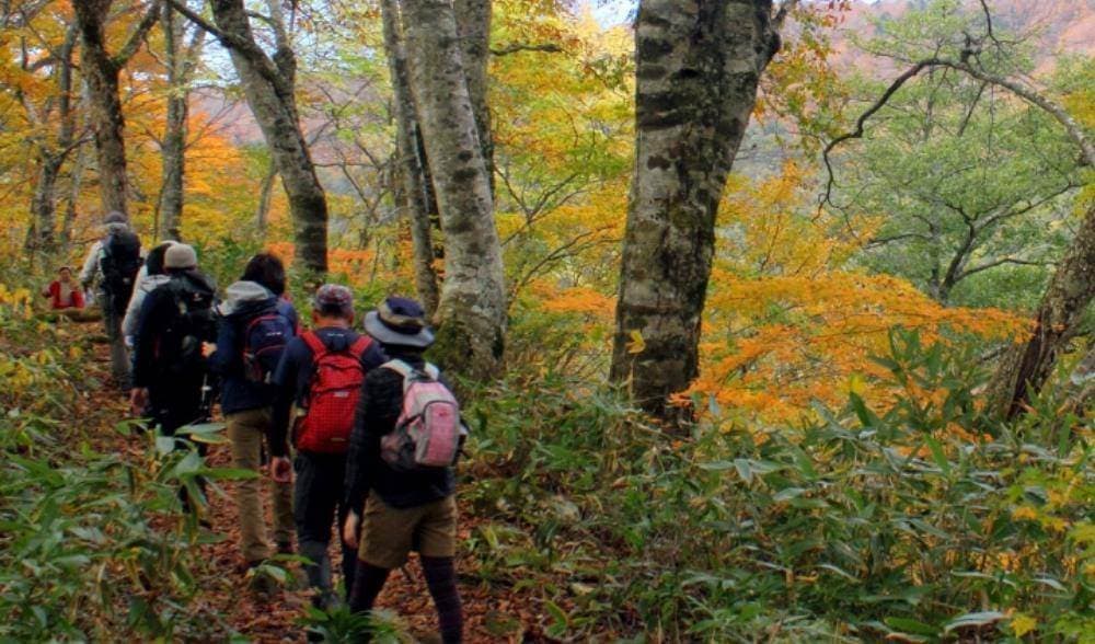 Venue: Kanva Adventure camp