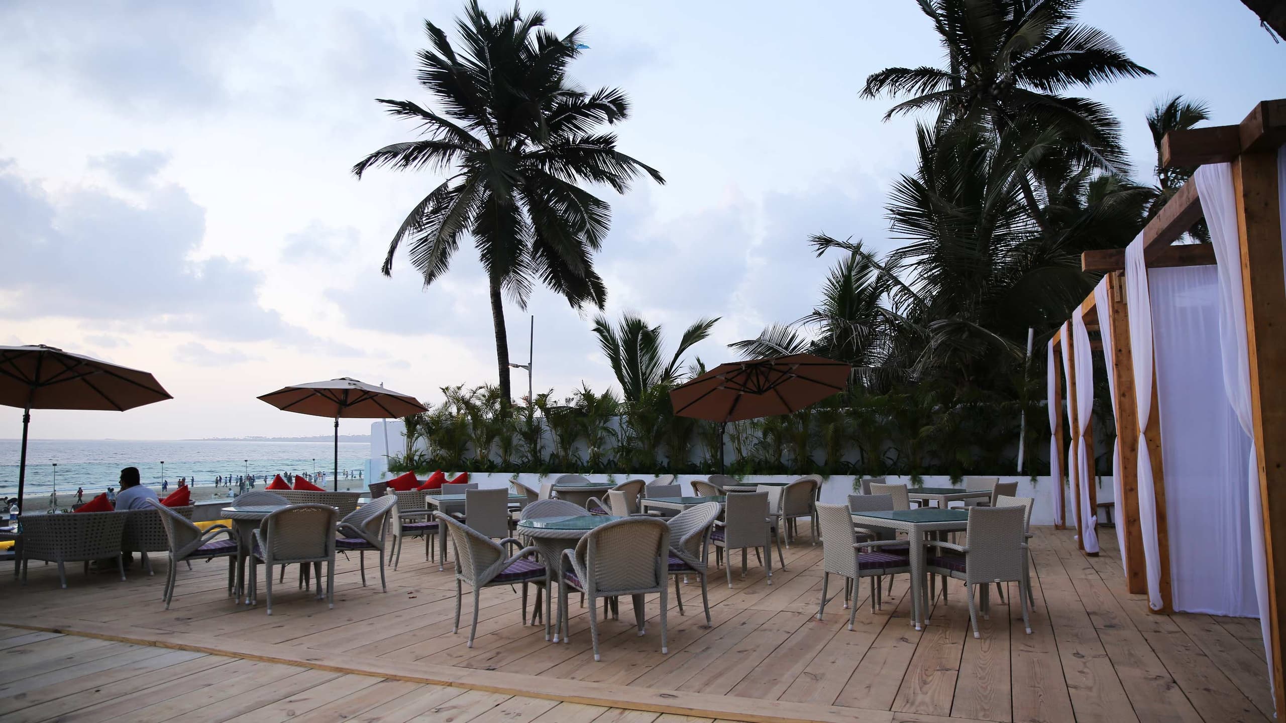 Razzberry Rhinoceros