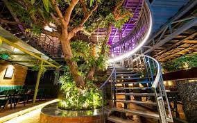 Venue: Fat Owl - Gastropub