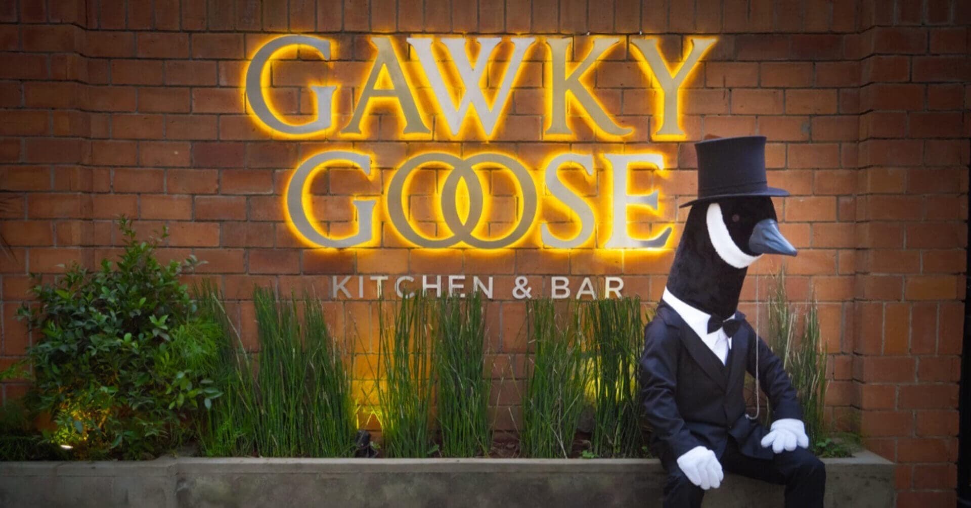 Gawky Goose