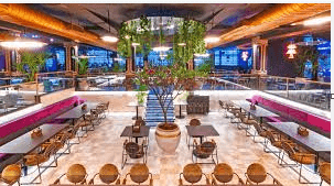 Venue: Hangover Brewery Koramangala