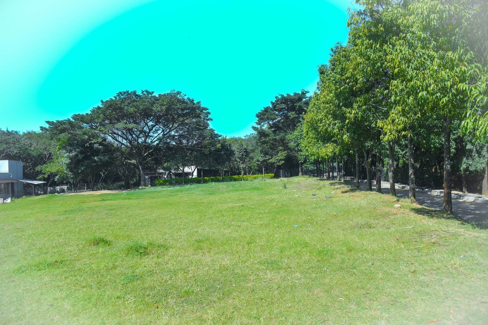 Venue: Mangala Kalyana Mantapa Lawn