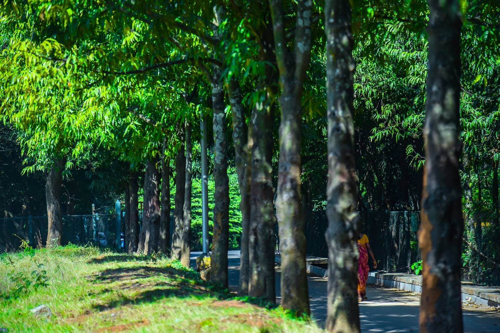 Venue: Mangala Kalyana Mantapa Lawn