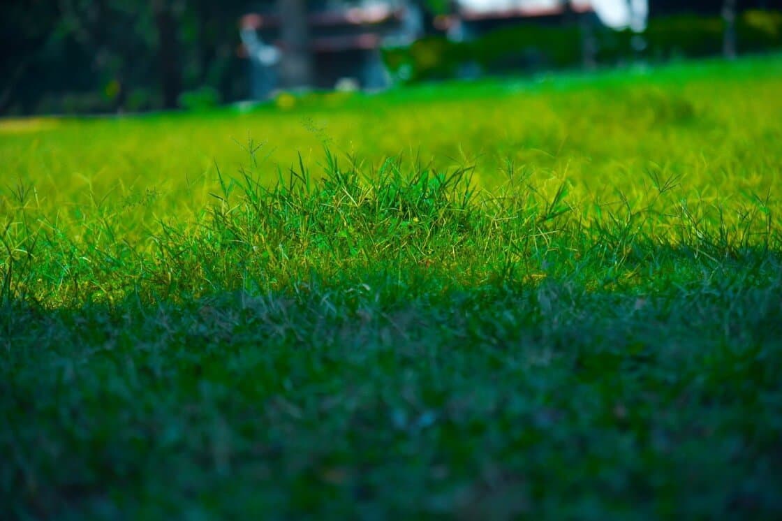 Venue: Mangala Kalyana Mantapa Lawn