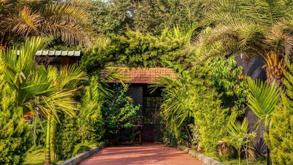 Venue: Lago Palms Resort