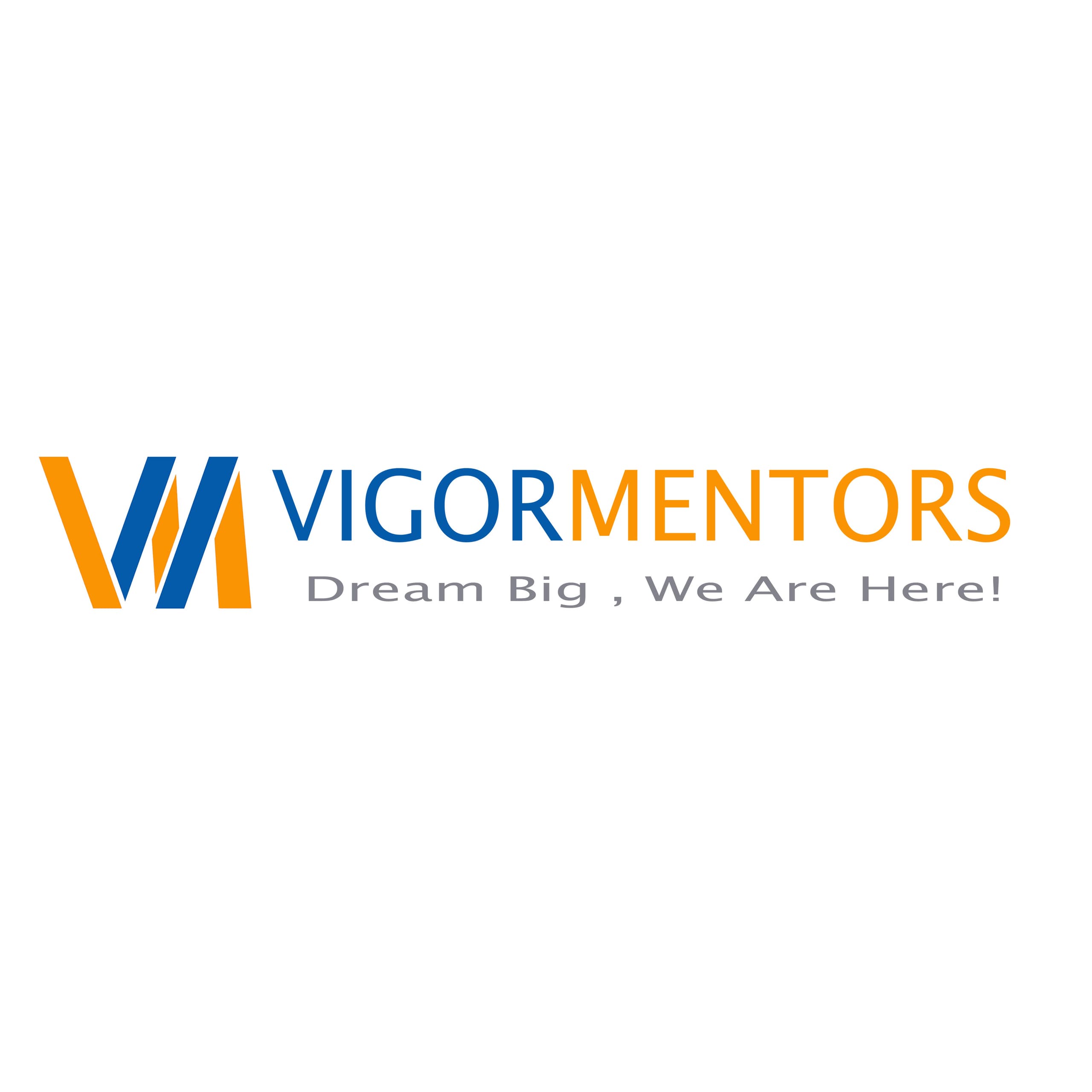 vigor mentors resonant pvt ltd