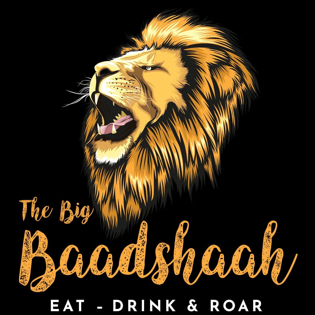 THE BIG BAADSHAAH ELECTRONIC CITY