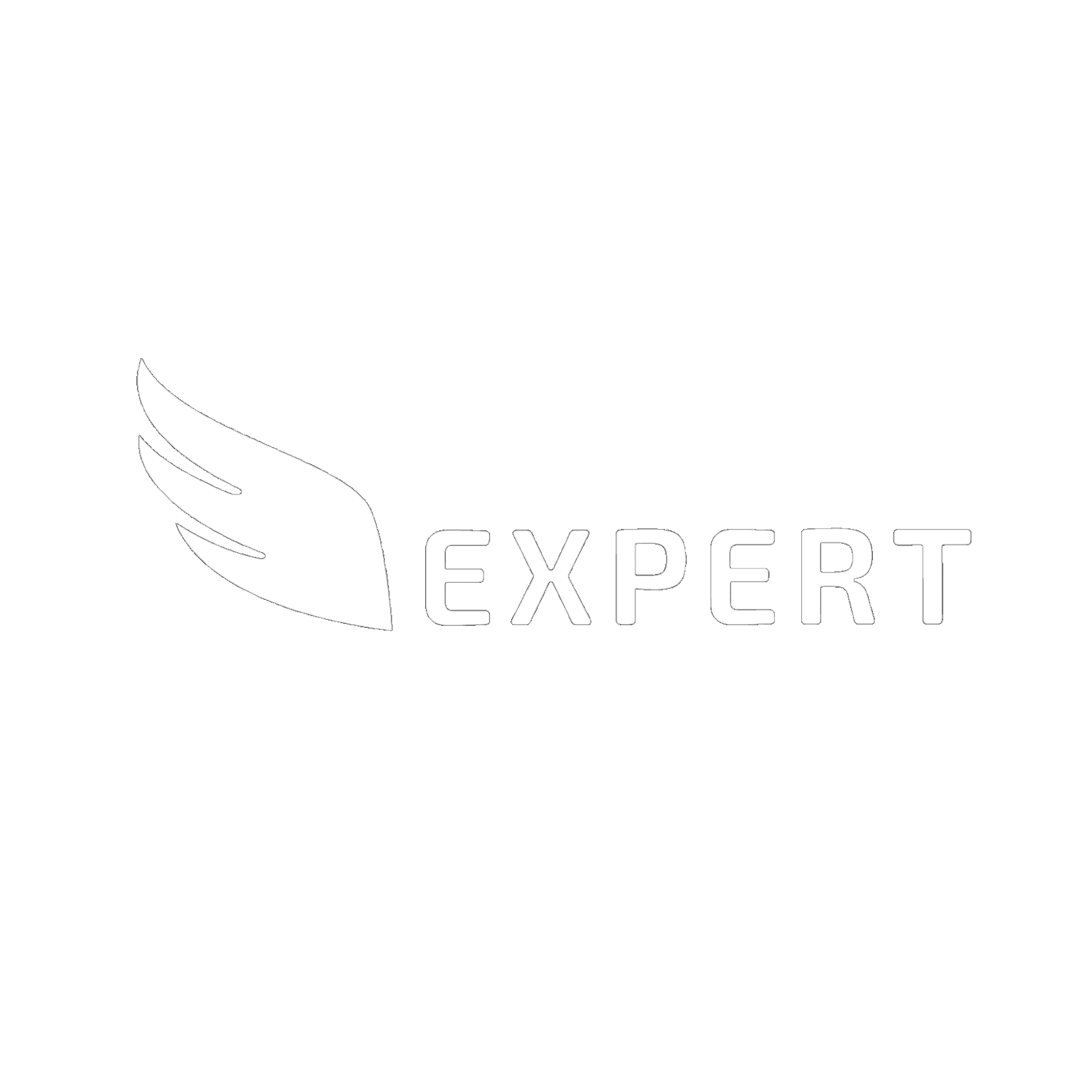 Expert Great_india
