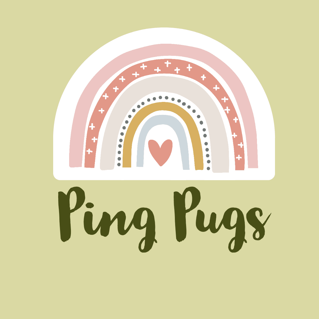 Travel with PingPugs
