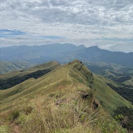 Gangadikallu Gudda Peak Viewpoint