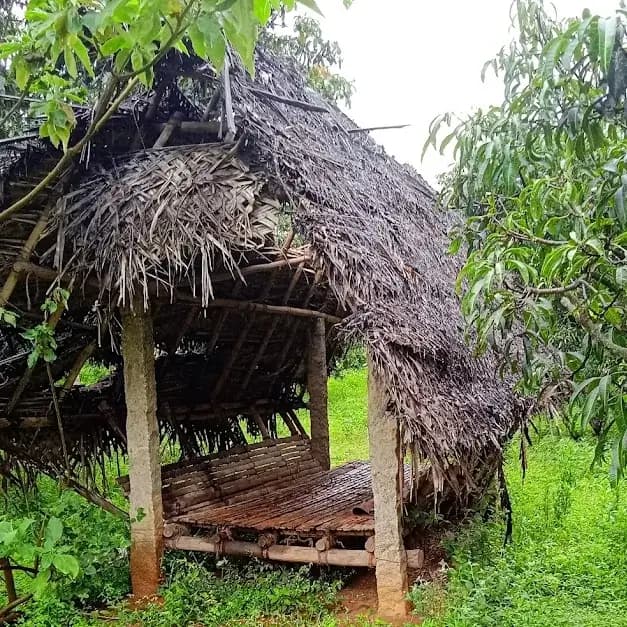 Hamsah organic farm