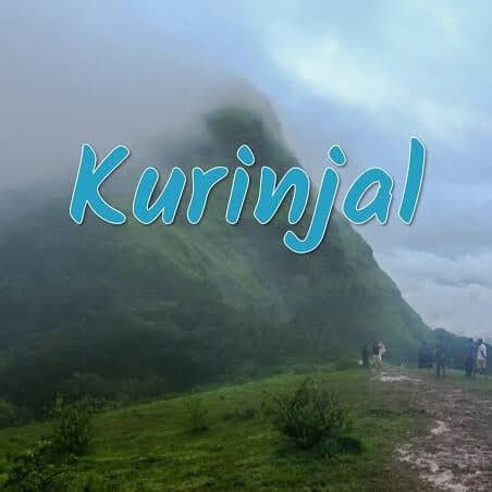 Kurinjal peak, Kudremukh Range