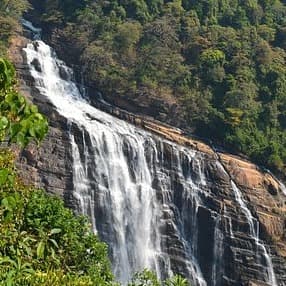Sirsi