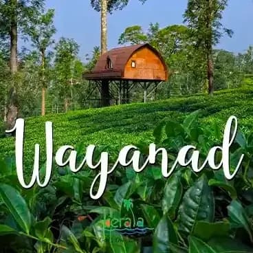 Wayanad