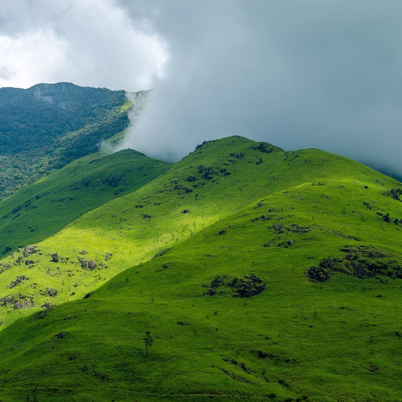 Banasura Hill Trekking