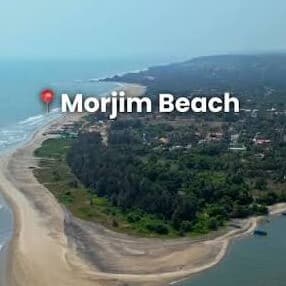 Morjim Beach